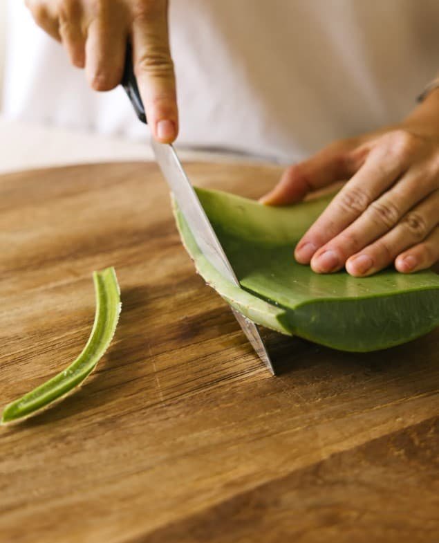 aloe vera 
